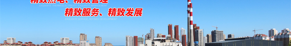 威海熱電集團有限公司