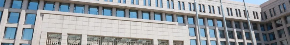 國家電投集團(tuán)東北電力有限公司